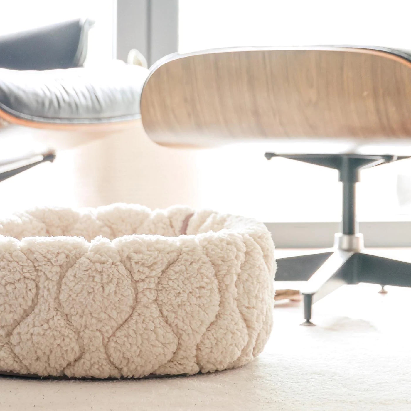 TAART DONUT BED PLUM HUNDESENG