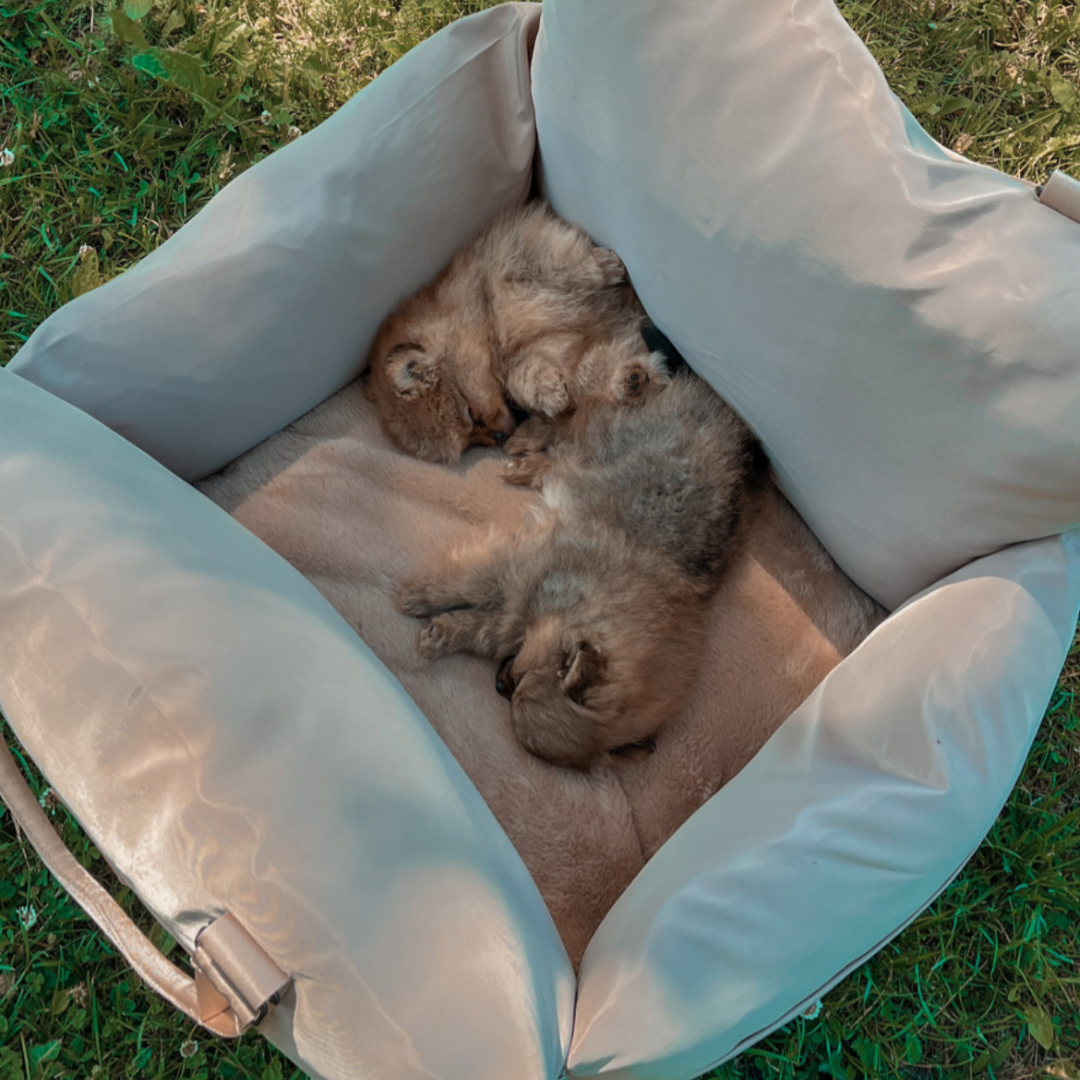 BOUCLÉ ALL BEIGE LUXURY CAR SEAT