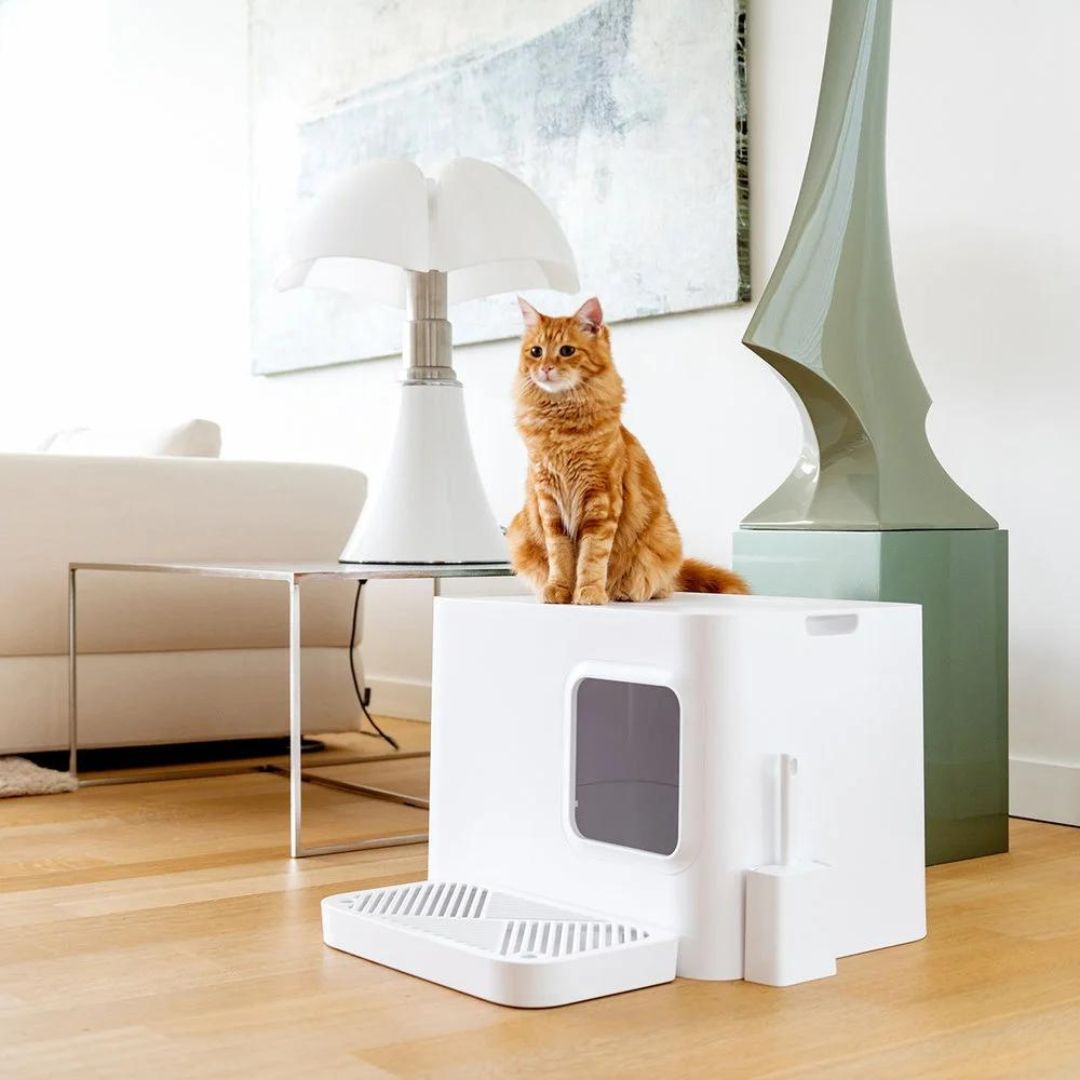 DOME PLUS CAT LITTER BOX WHITE