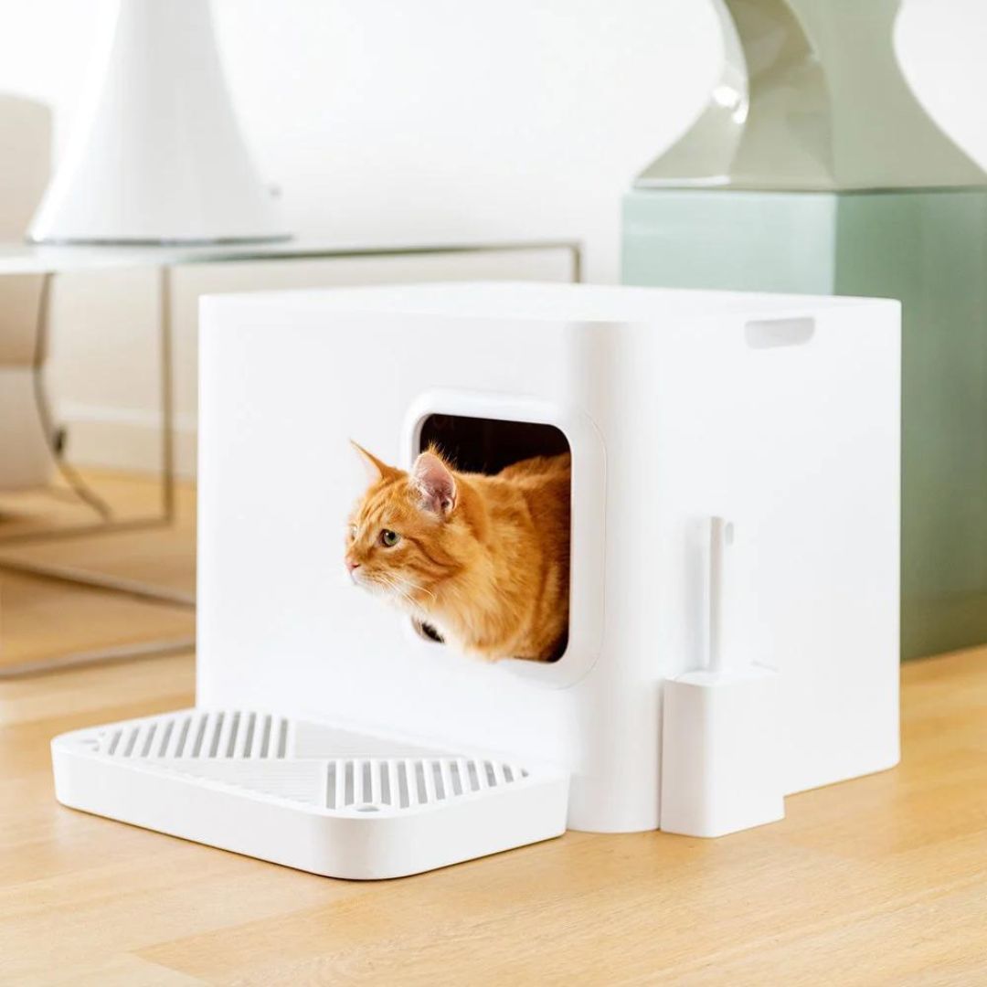 DOME PLUS CAT LITTER BOX WHITE