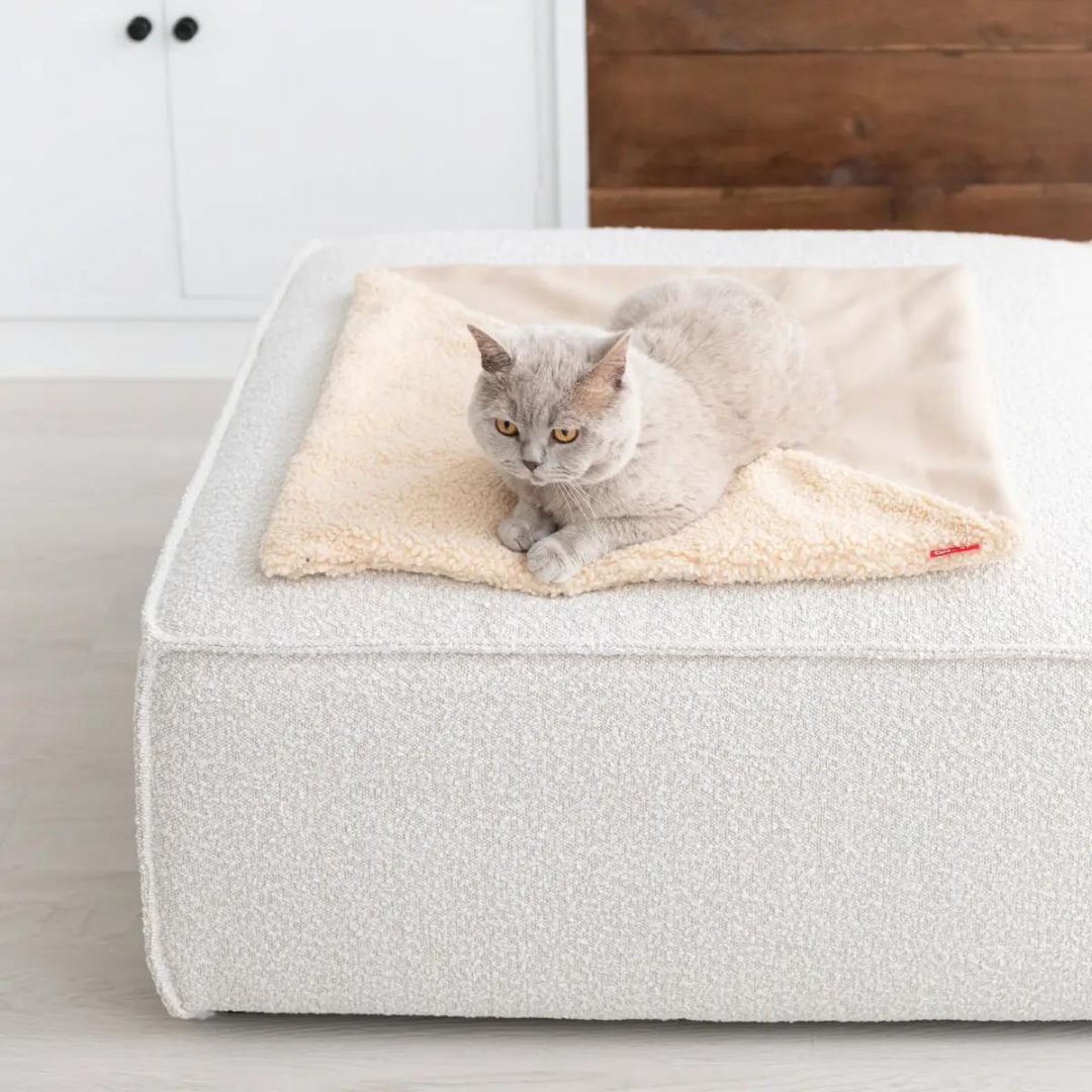 TRI CAT BLANKET WHITE