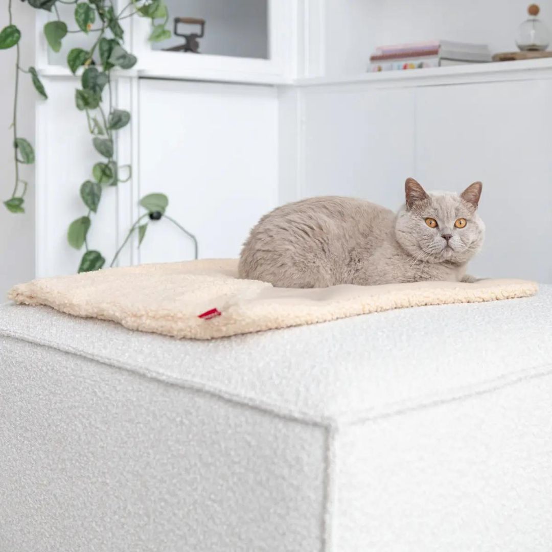 TRI CAT BLANKET WHITE