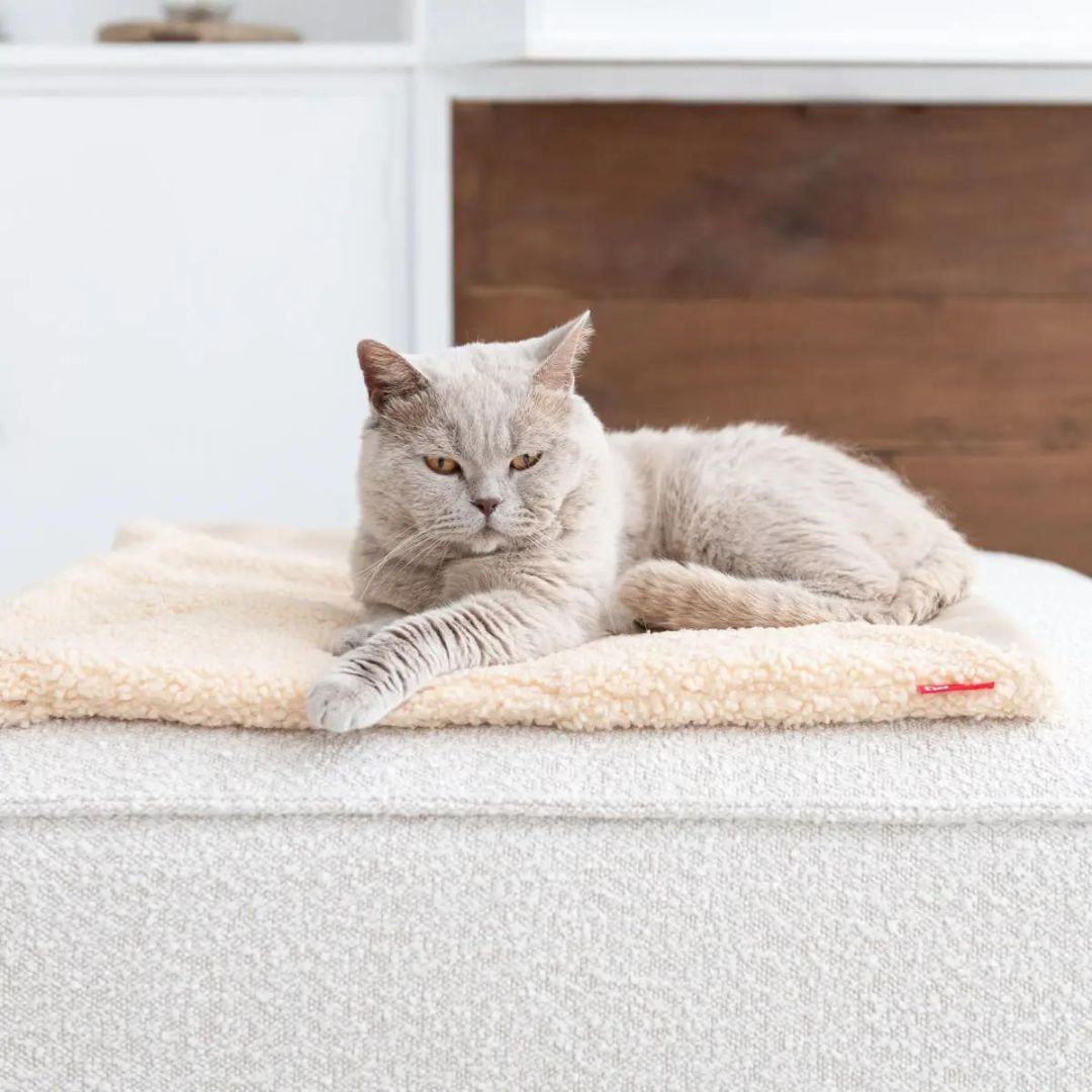 TRI CAT BLANKET WHITE