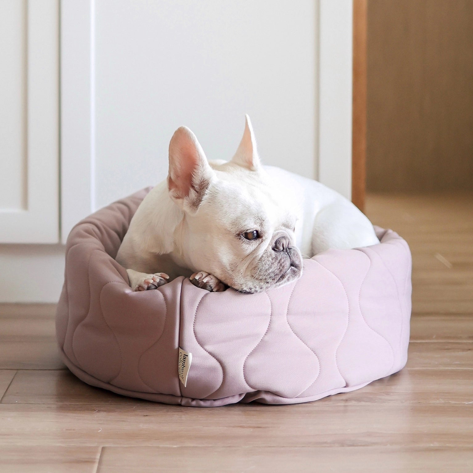 TAART DONUT BED PLUM HUNDESENG