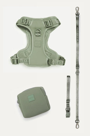 GO! WITH EASE BUNDLE - SAGE - PRECIOUS PET