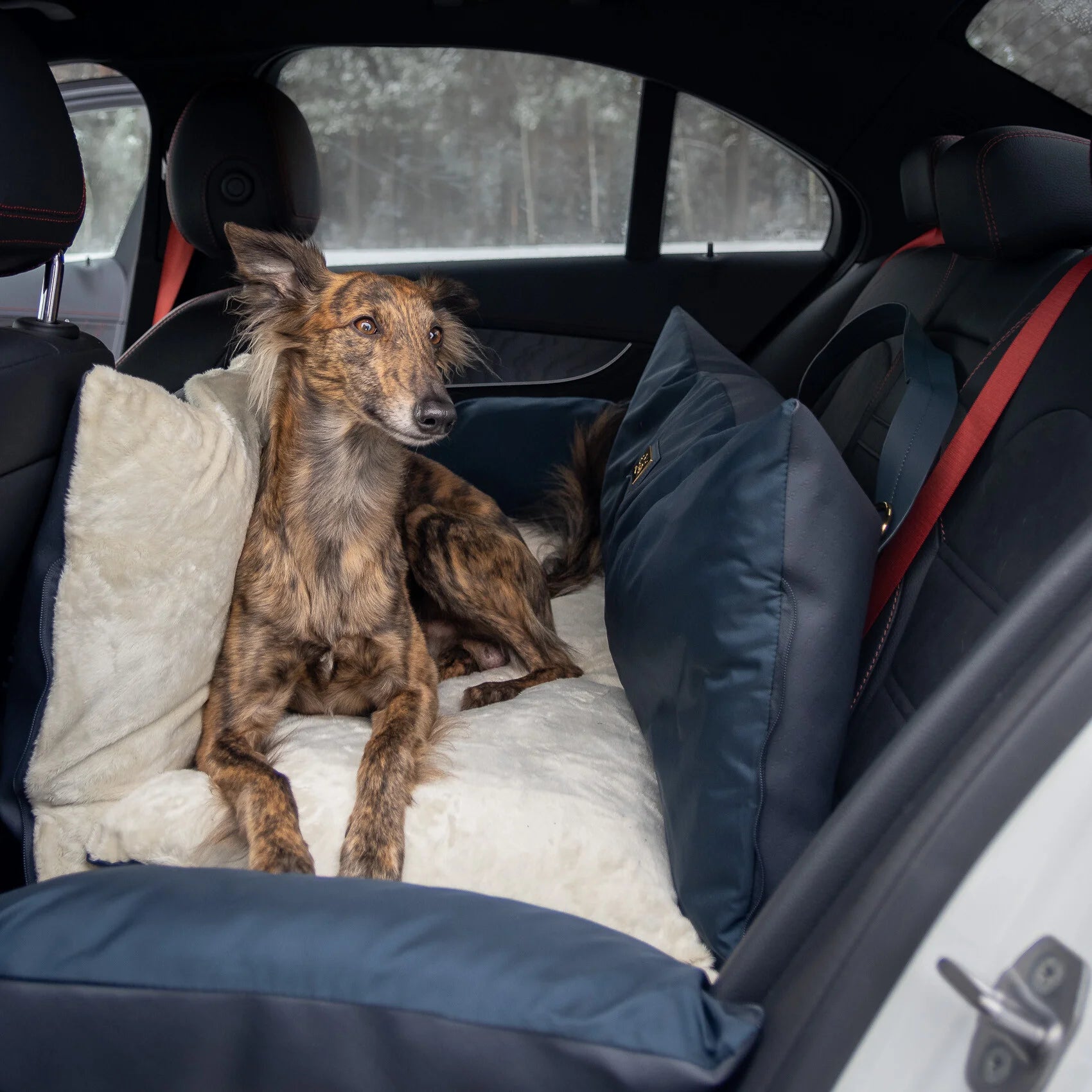 LUXURY DOG CAR SEAT NAVY BLUE XL BILSETE