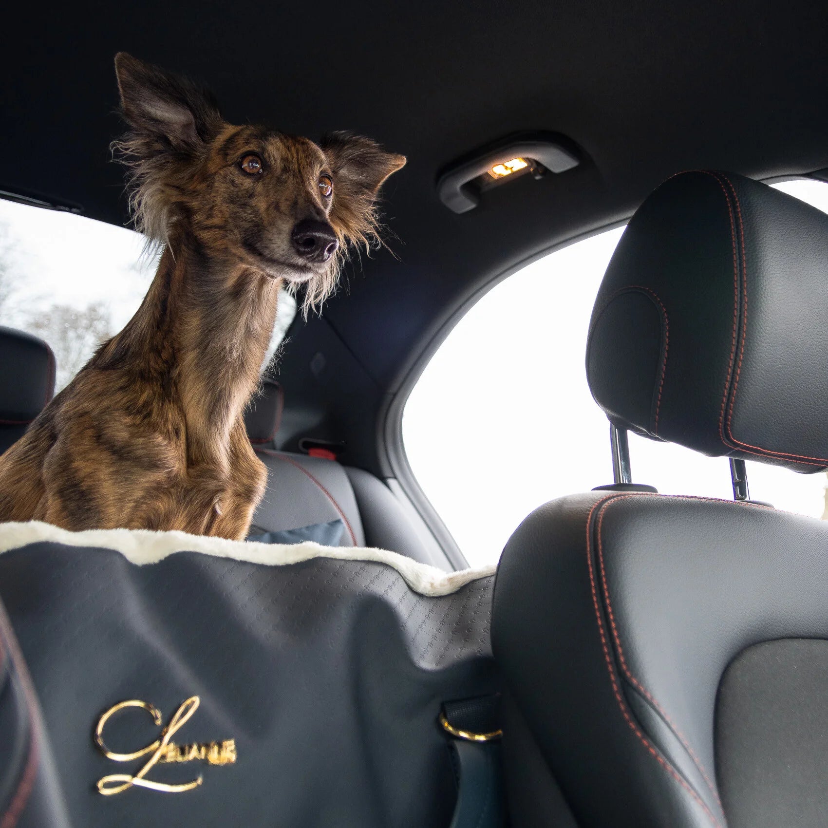 LUXURY DOG CAR SEAT NAVY BLUE XL BILSETE