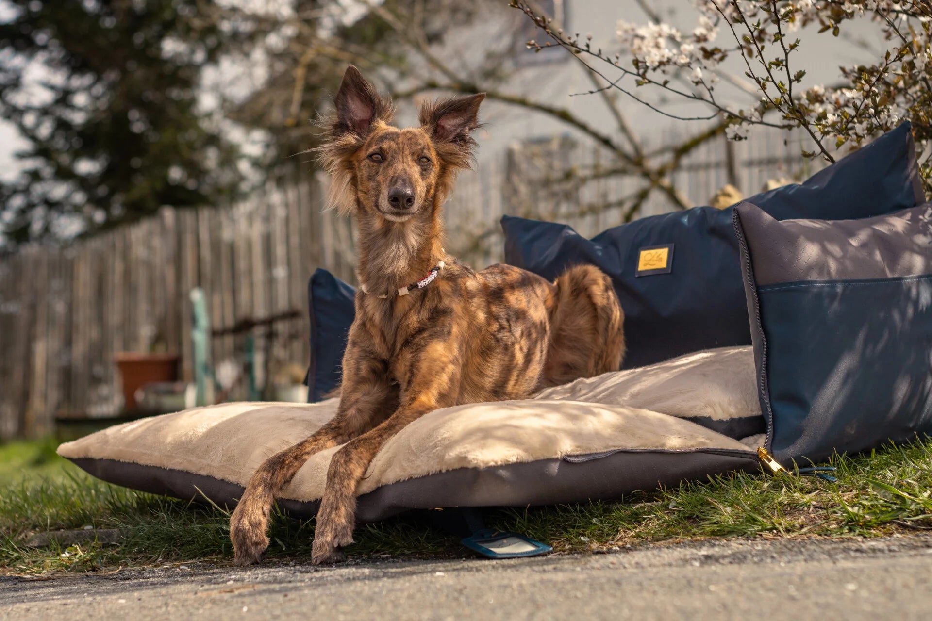 LUXURY DOG CAR SEAT NAVY BLUE XL BILSETE