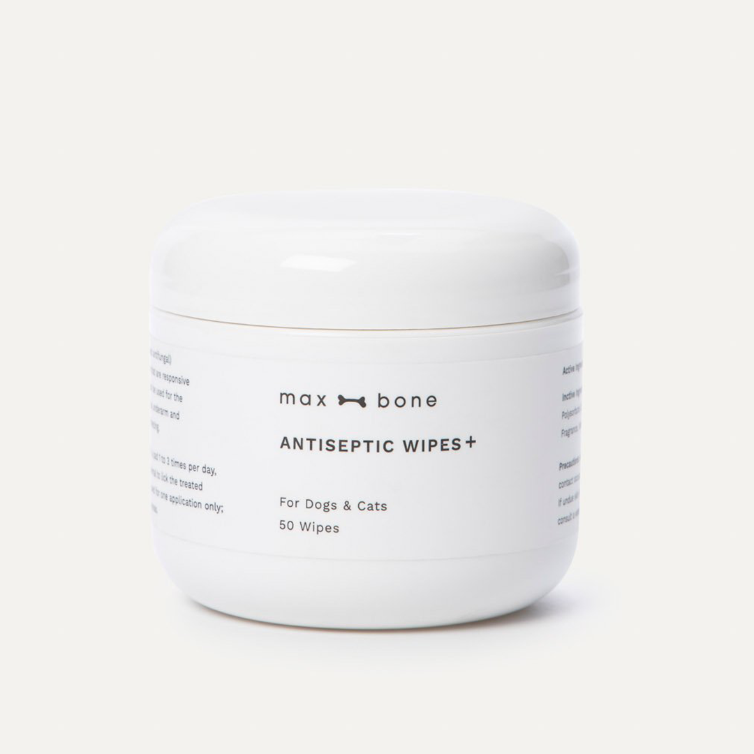 ANTIBAKTERIELLE WIPES