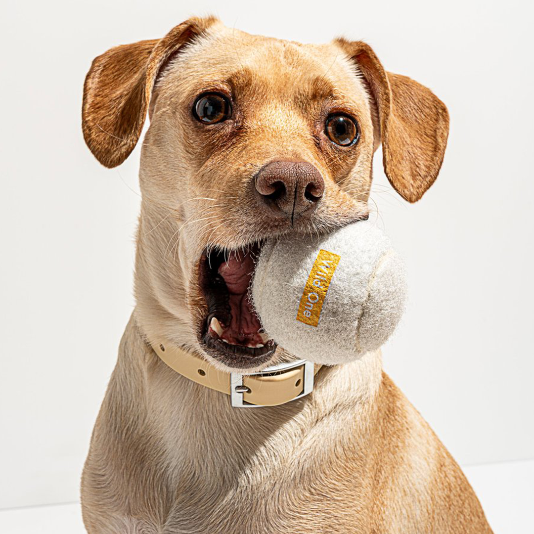 TENNIS BALLS 4PK WHITE