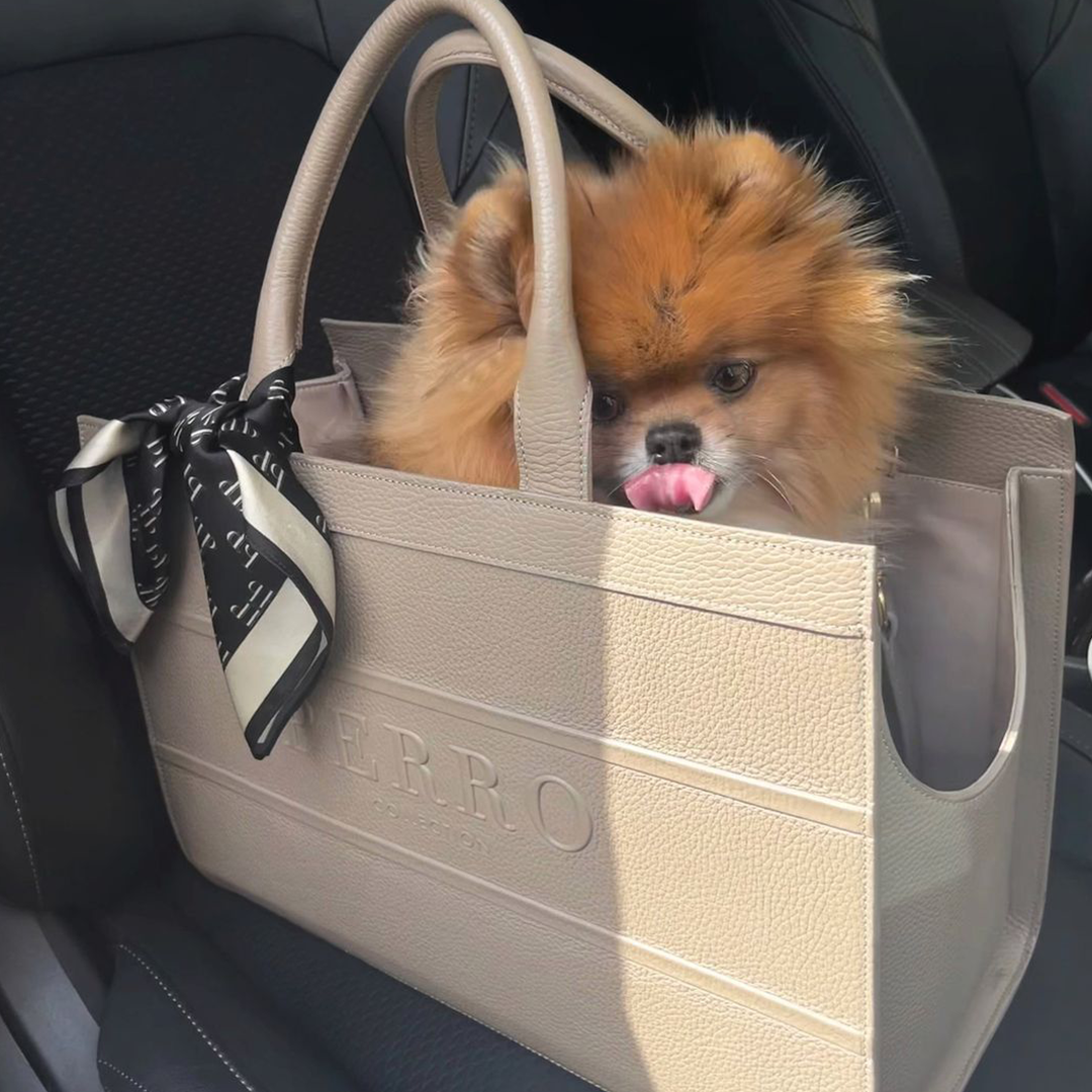 BEIGE CITY BAG