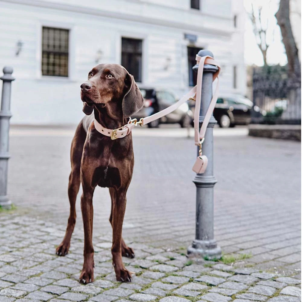 3-WAY ADJUSTABLE LEASH ROSE