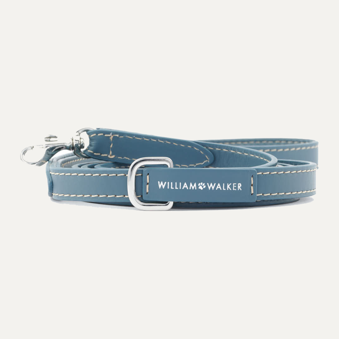 SMALL CITY LEASH SMOOTH OCEAN