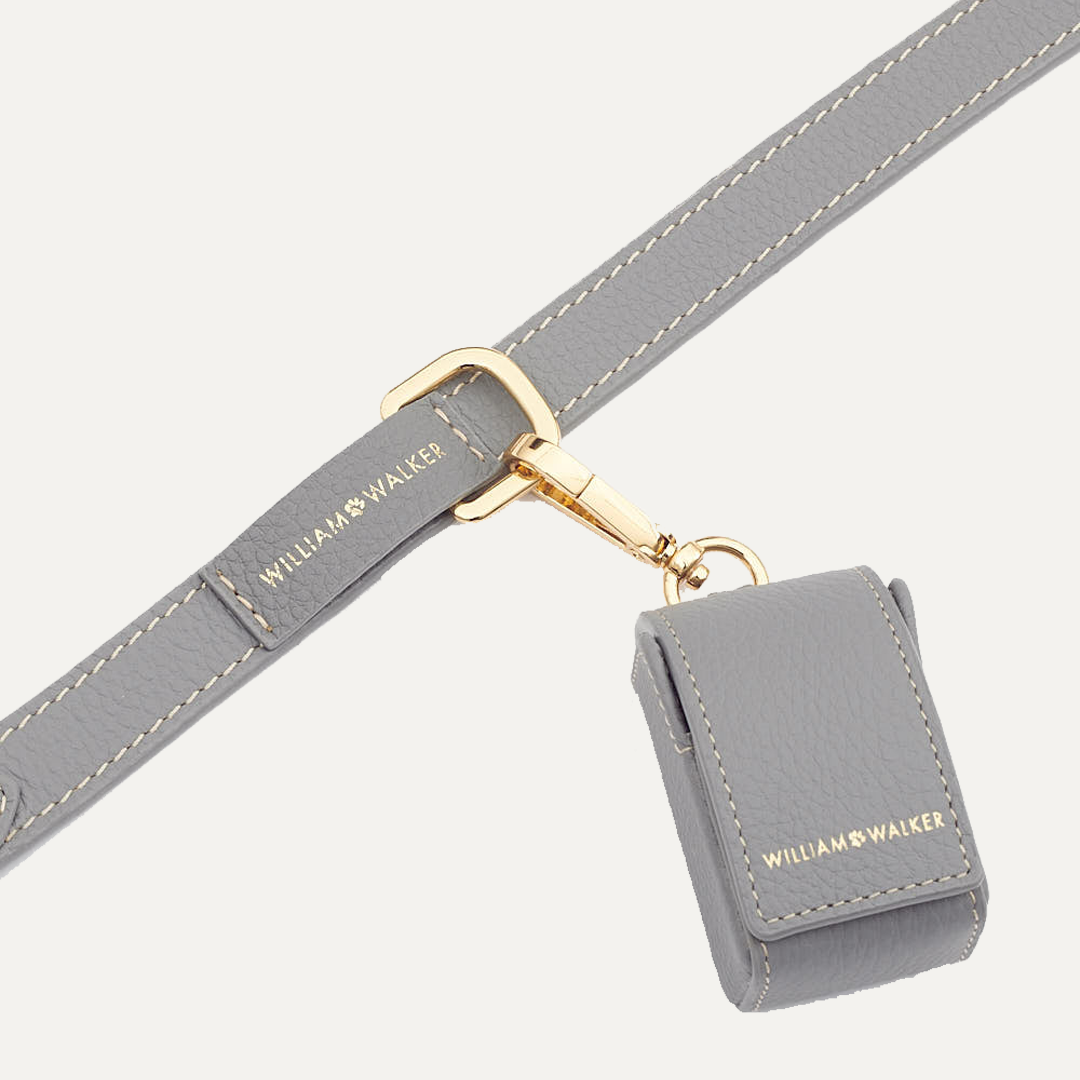 SMALL CITY LEASH SEA SALT