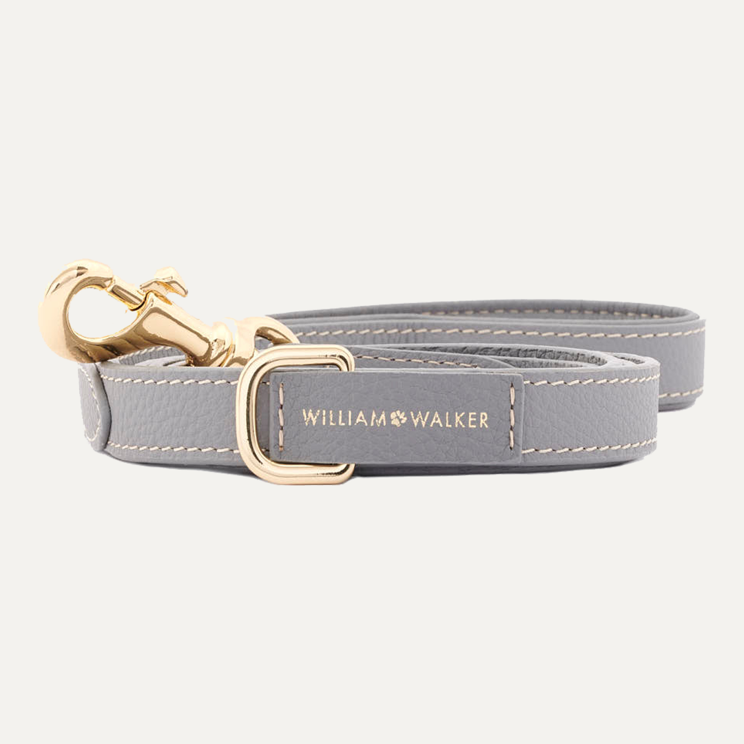 SMALL CITY LEASH SEA SALT