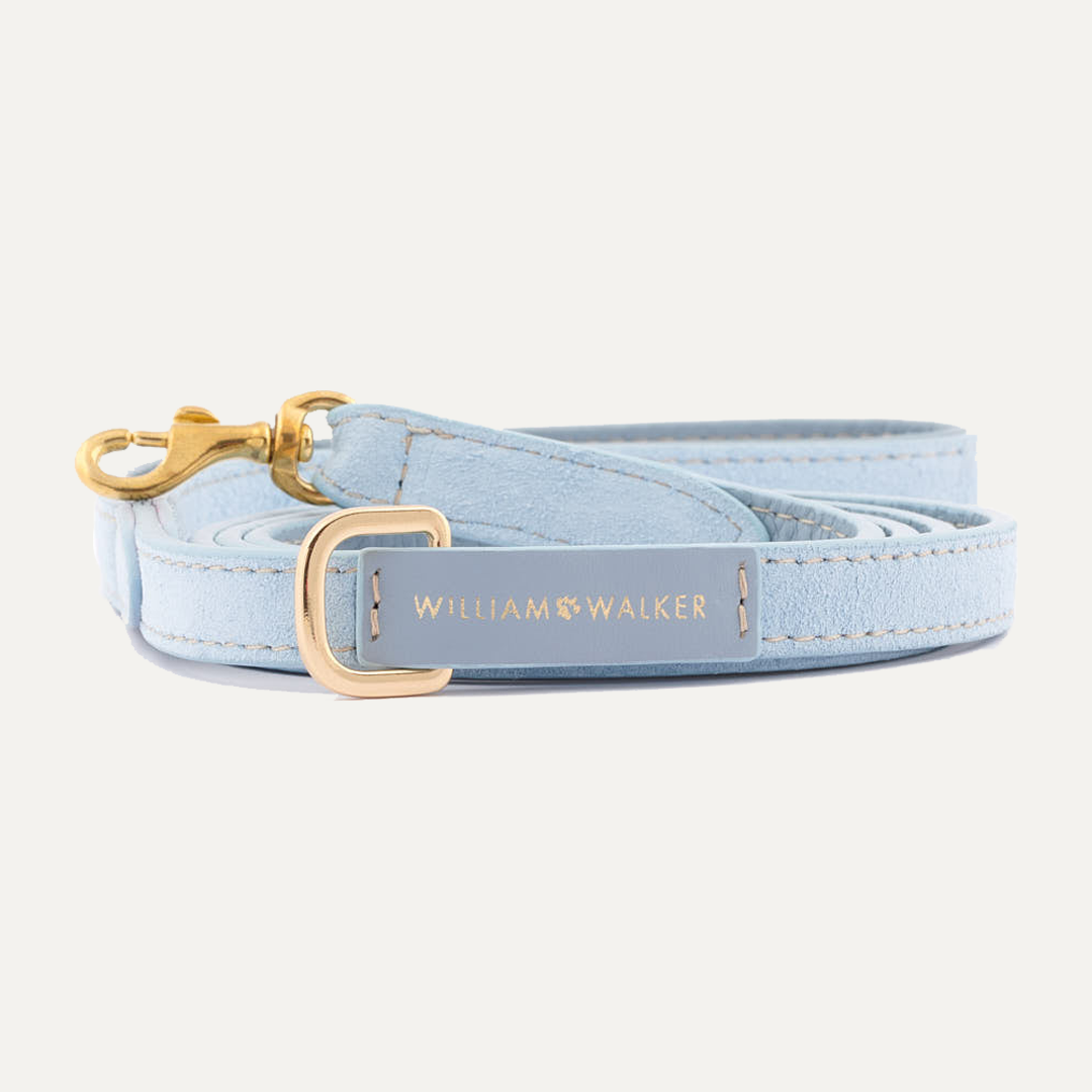 SMALL CITY SUEDE LEASH SKY