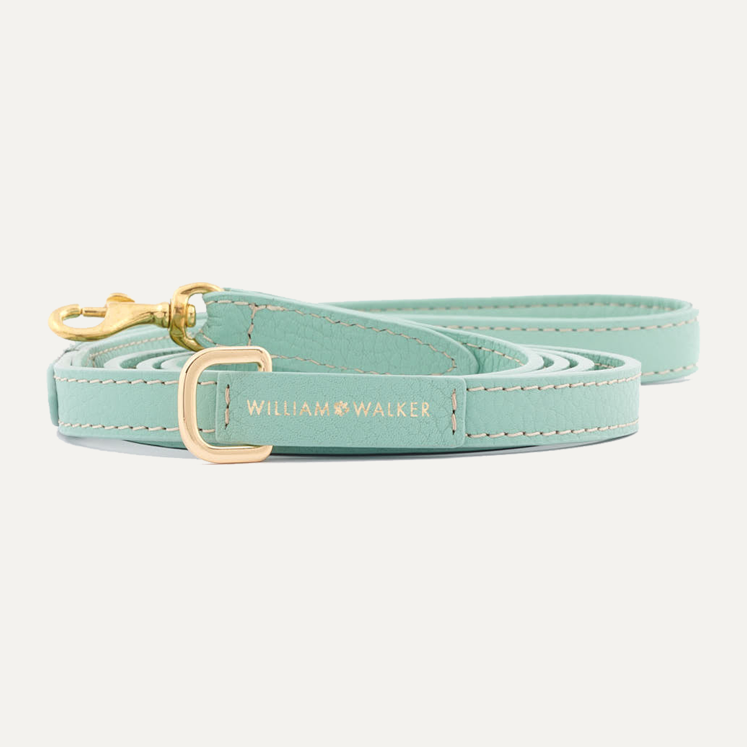 SMALL CITY LEASH MINT