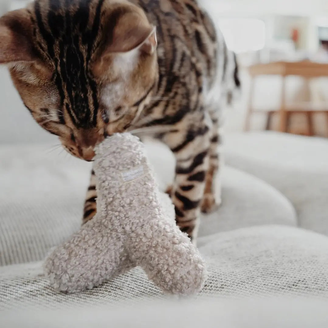 KITTY BREUER OAT