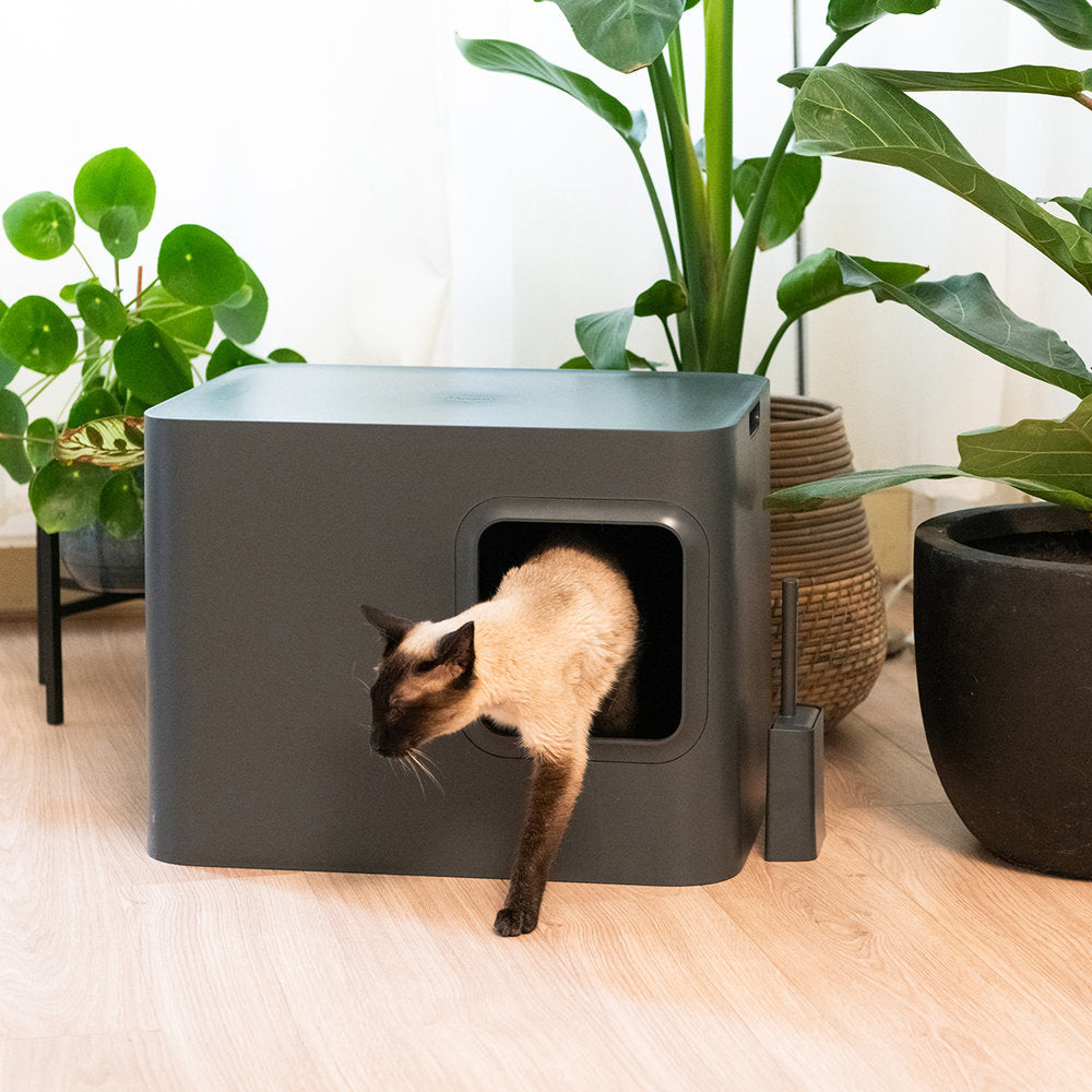 DOME CAT LITTER BOX GREY