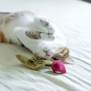 KITTY RADISH BEET - PRECIOUS PET