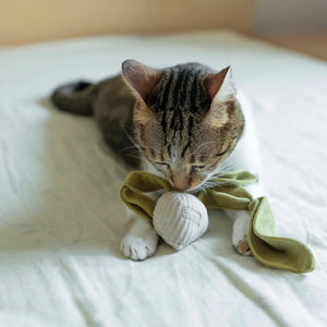 KITTY RADISH CREAM - PRECIOUS PET
