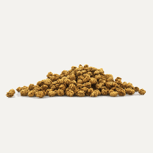 PIVO BEEF TREATOS - PRECIOUS PET