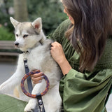 SUSAN LEASH BLACK - PRECIOUS PET