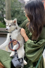 Susan Leash Black
