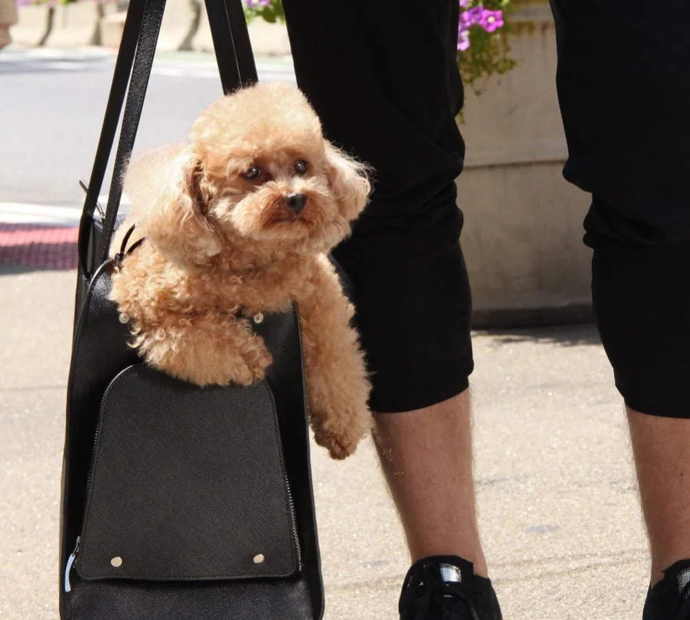 PET CARRIER TALL BLACK - PRECIOUS PET
