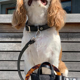 SUSAN LEASH BLACK - PRECIOUS PET