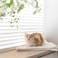 Load image into Gallery viewer, TRI CAT BLANKET WHITE

