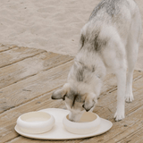 BUBBLE BOWL SAND - PRECIOUS PET
