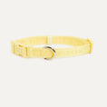 Load image into Gallery viewer, DOG COLLAR YELLOW
