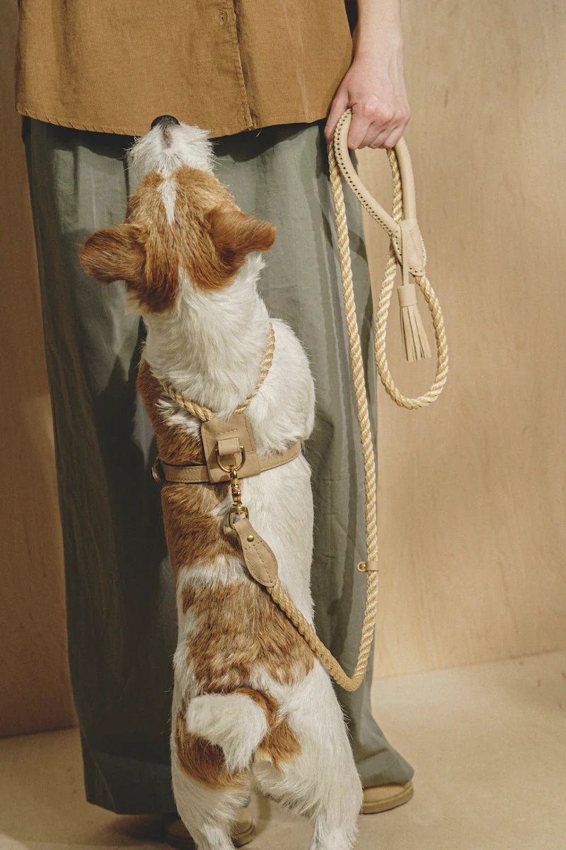 Country Pony Leash Beige - PRECIOUS PET