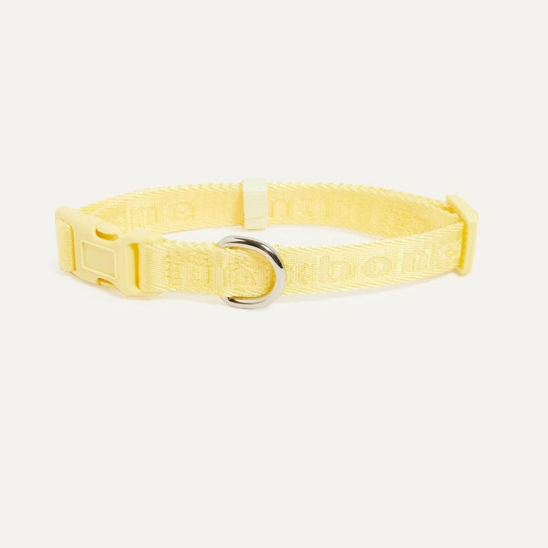 DOG COLLAR YELLOW - PRECIOUS PET