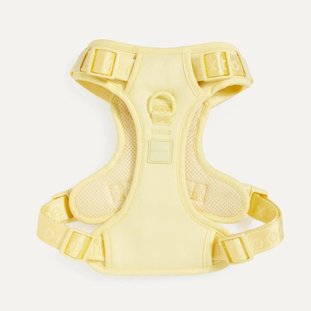 EASY FIT HARNESS YELLOW - PRECIOUS PET