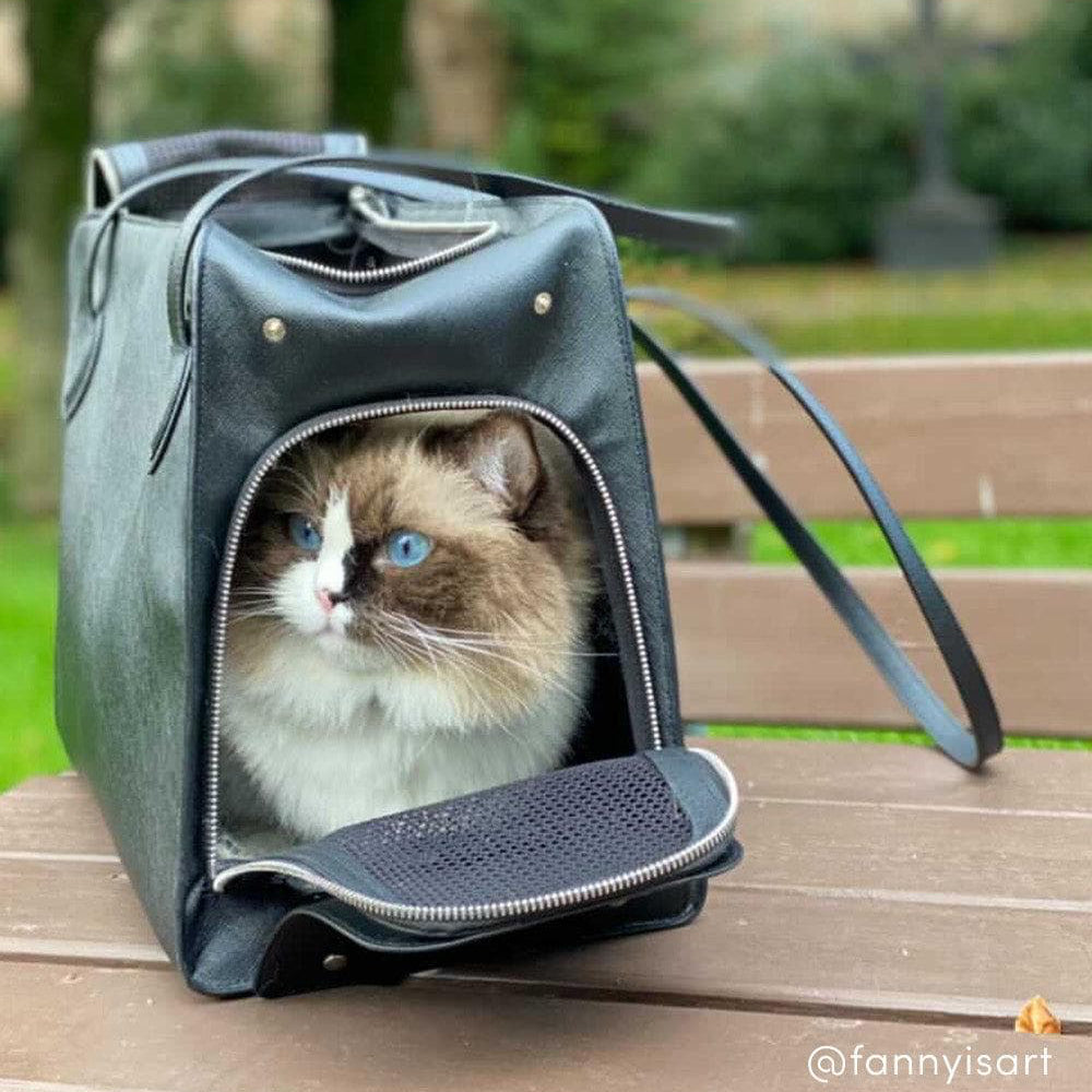 PET CARRIER TALL BLACK - PRECIOUS PET