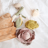 FARMERS MARKET SET - PRECIOUS PET