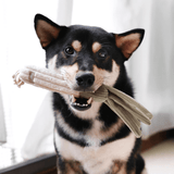 FARMERS MARKET SET - PRECIOUS PET