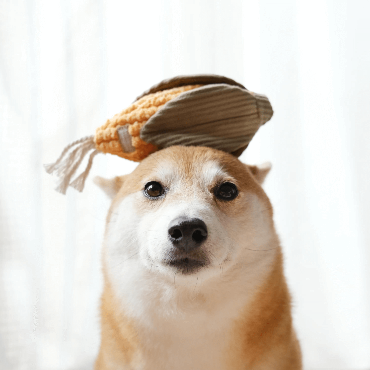 FARMERS MARKET SET - PRECIOUS PET