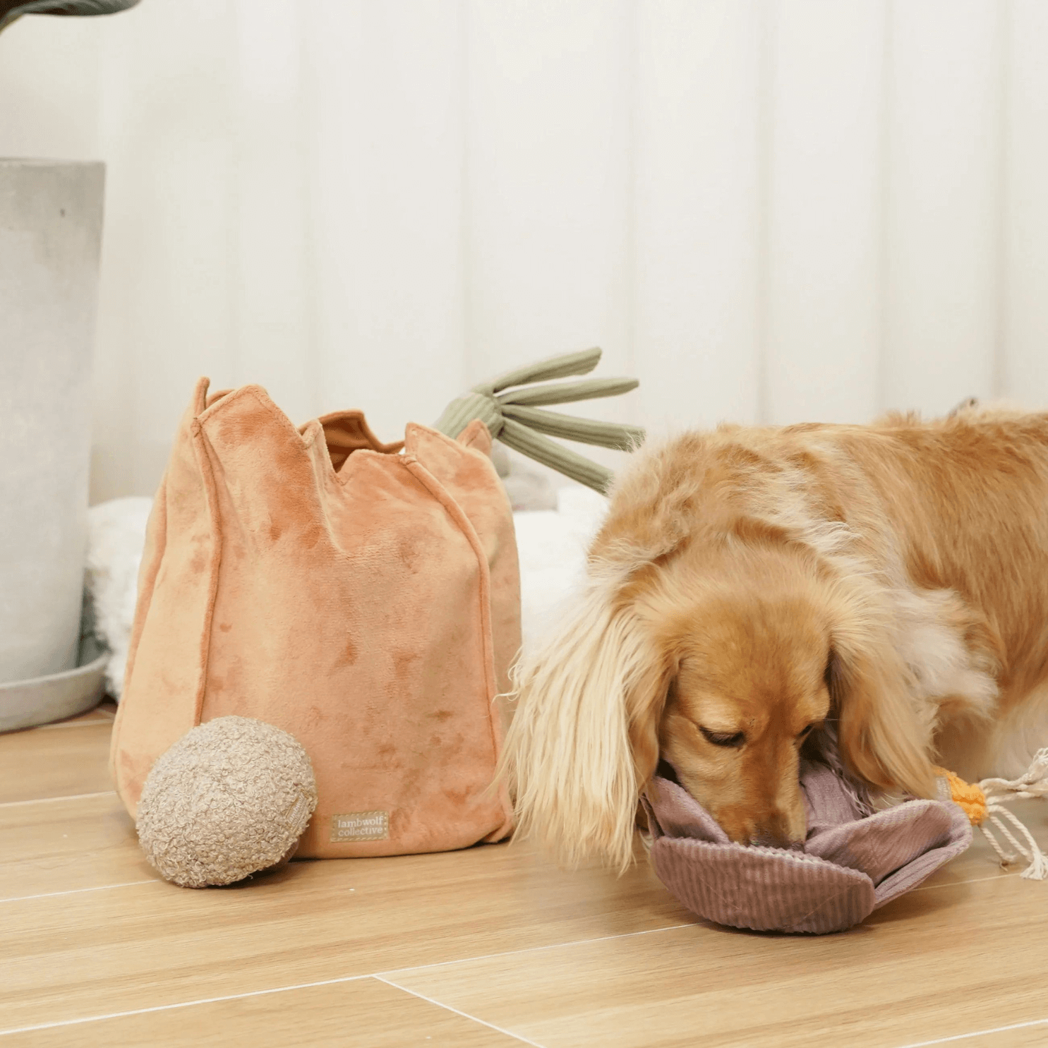 FARMERS MARKET SET - PRECIOUS PET