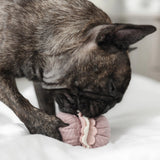 FRANSK BAKVERK SNUSELEKER - PRECIOUS PET