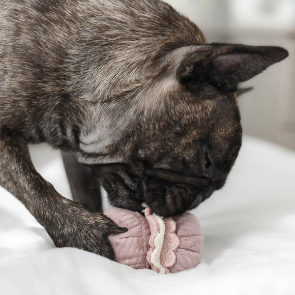 FRANSK BAKVERK SNUSELEKER - PRECIOUS PET