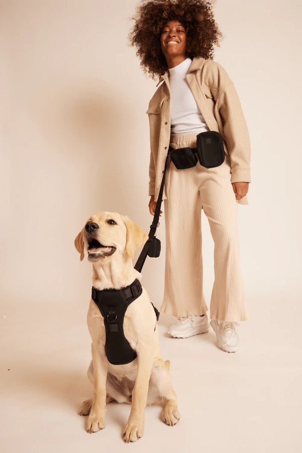 GO! WITH EASE BUNDLE - BLACK - PRECIOUS PET