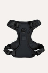 GO! WITH EASE BUNDLE - BLACK - PRECIOUS PET