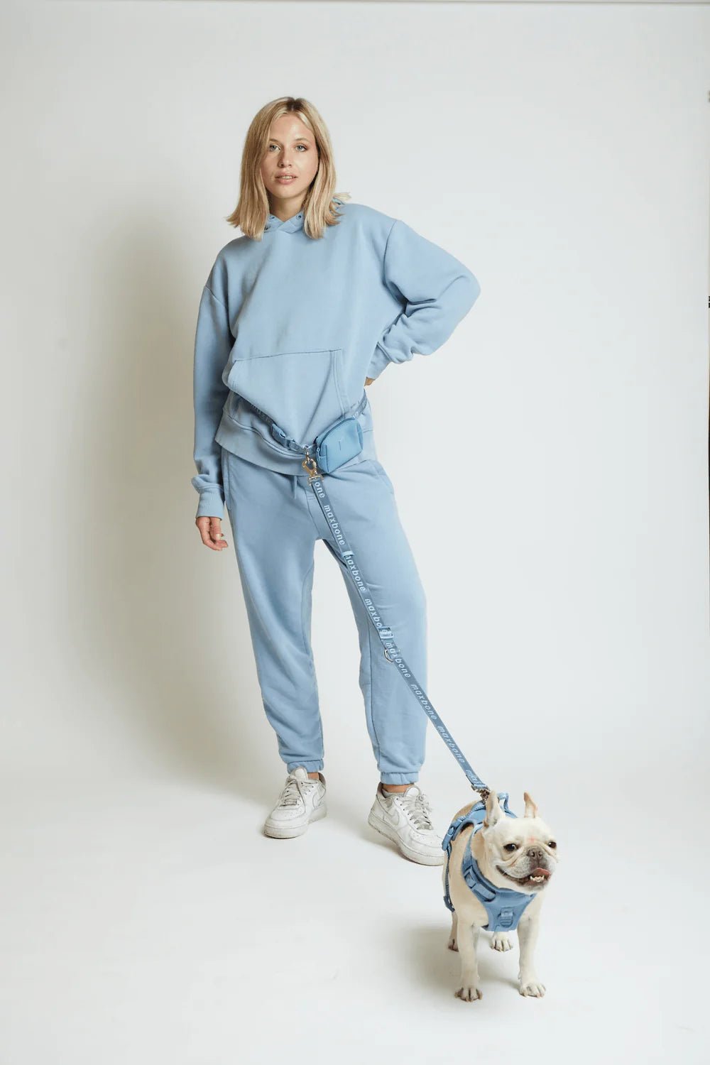 GO! WITH EASE BUNDLE - BLUE - PRECIOUS PET