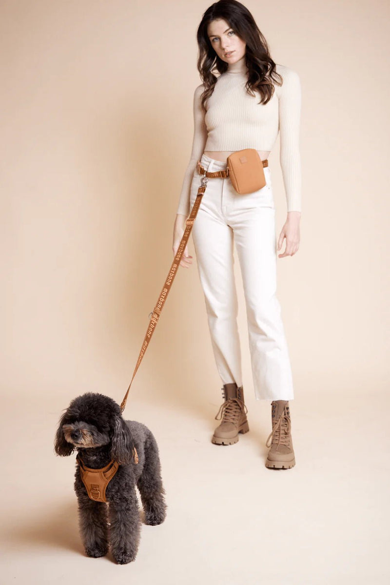 GO! WITH EASE BUNDLE - CAMEL - PRECIOUS PET