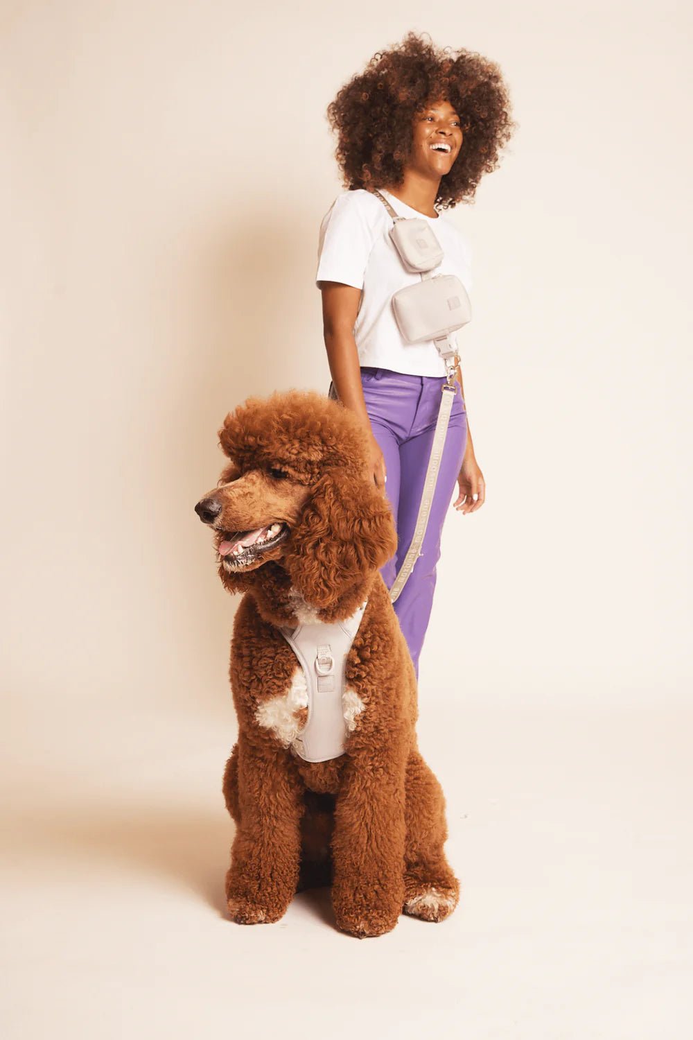 GO! WITH EASE BUNDLE - LIGHT GRAY - PRECIOUS PET