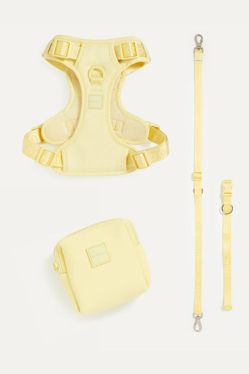 GO! WITH EASE BUNDLE - YELLOW - PRECIOUS PET