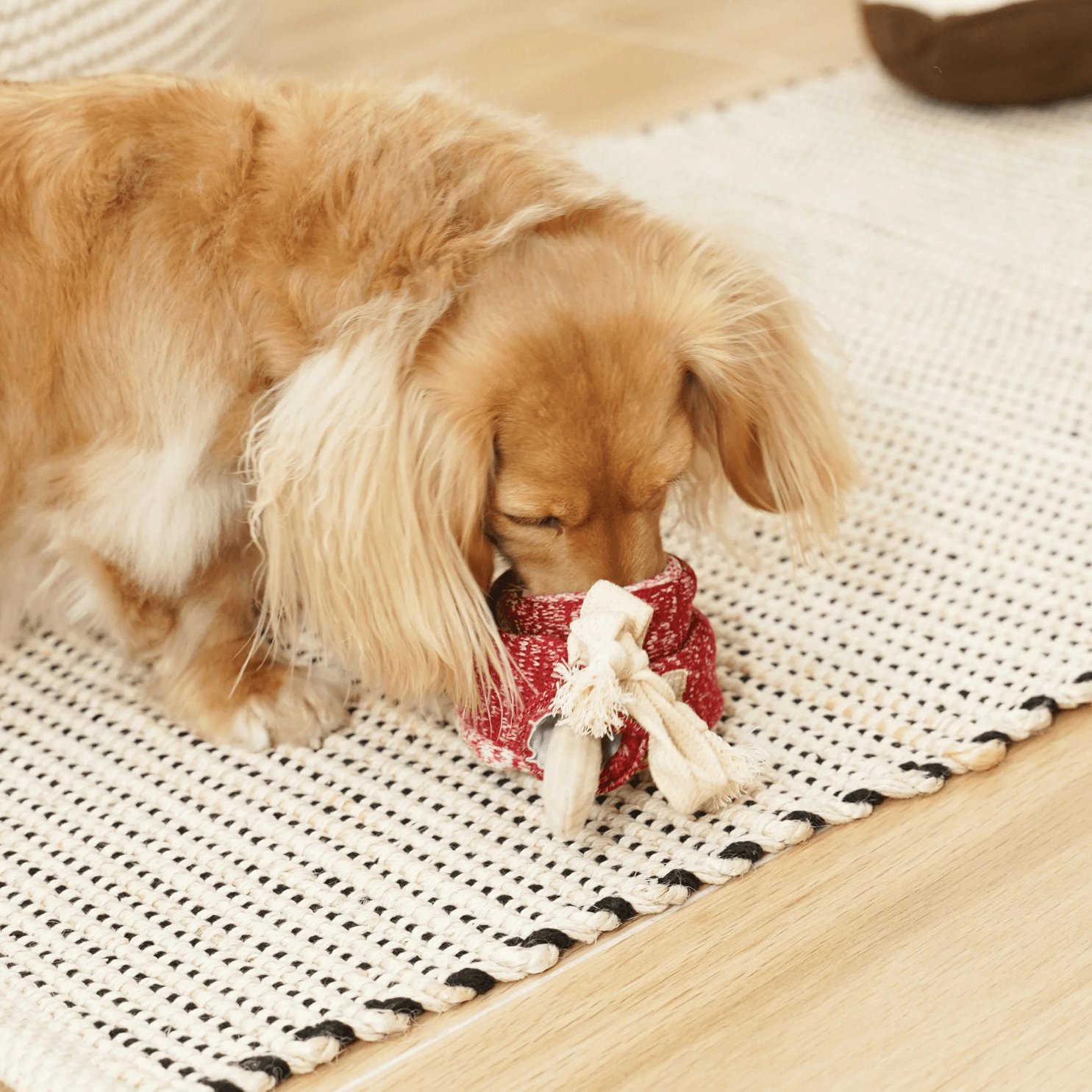 LOLLIPOP ENRICHMENT TOY AKTIVISERINGSLEKE - PRECIOUS PET